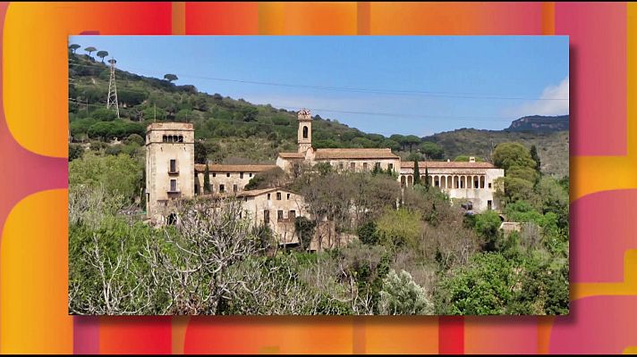 Saber y ganar - Saber y ganar - 21/11/25