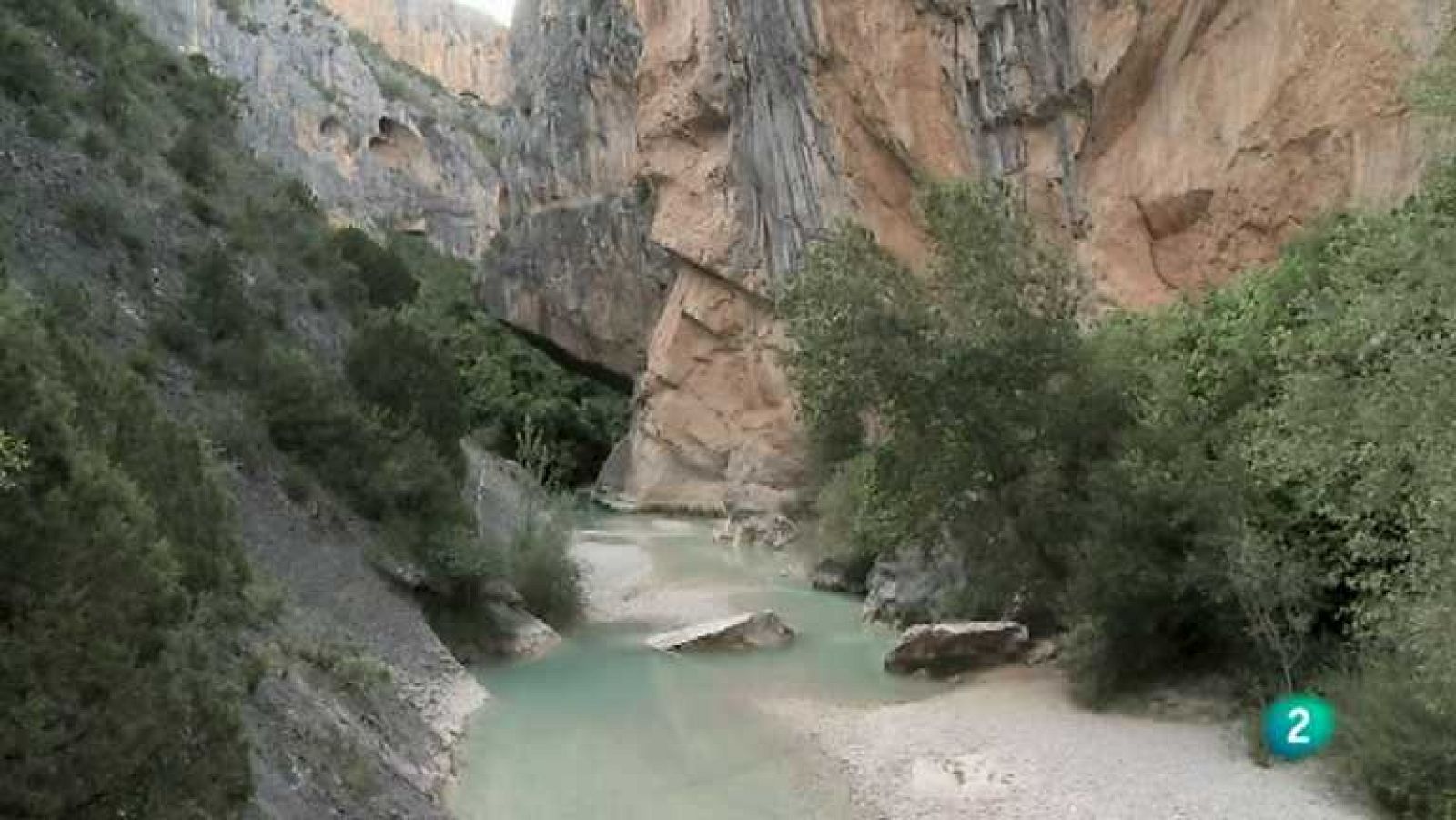 Biodiario - 04/02/13 - ver ahora
