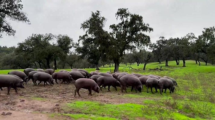 Agrosfera - Agrosfera - 22/11/25