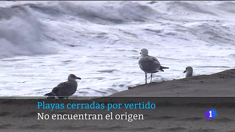 Canarias en 2' - 22/11/2025 | Ver