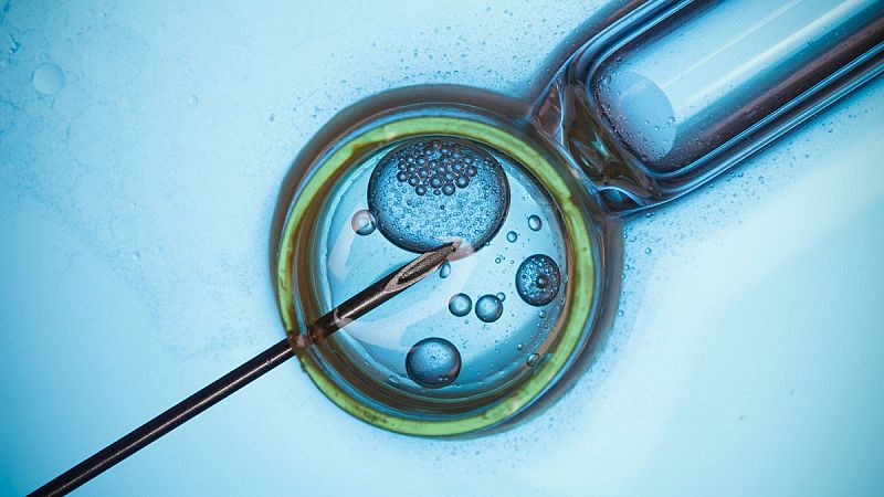 ¿Qué pasa con los óvulos congelados cuando ya no se quieren? | Ver