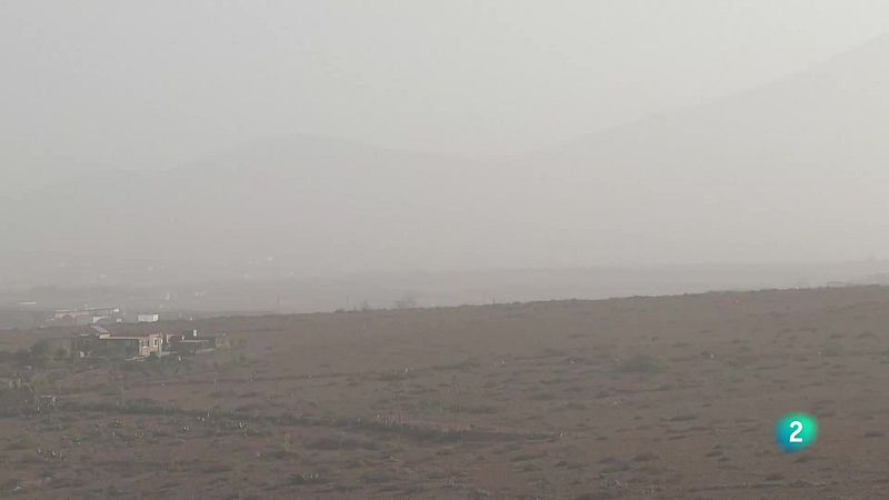 Telecanarias Tarde - 24/11/2025 | Ver