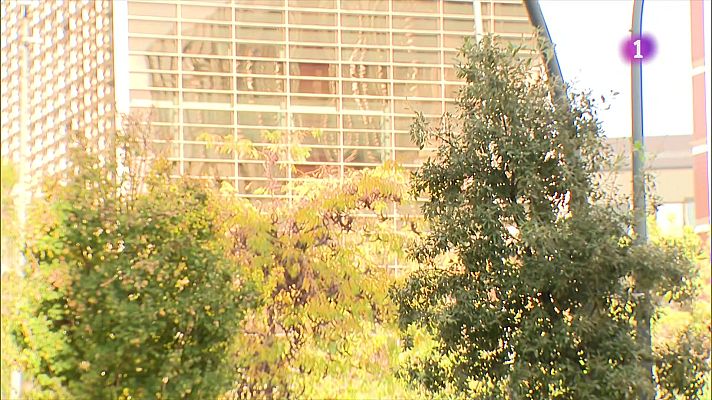 L'Informatiu - Les víctimes de violència masclista denuncien que no els lloguen pisos