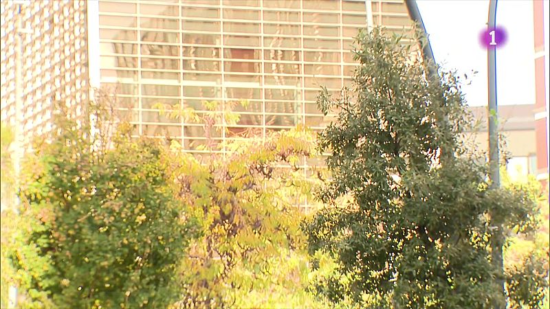 Les víctimes de violència masclista denuncien que no els lloguen pisos