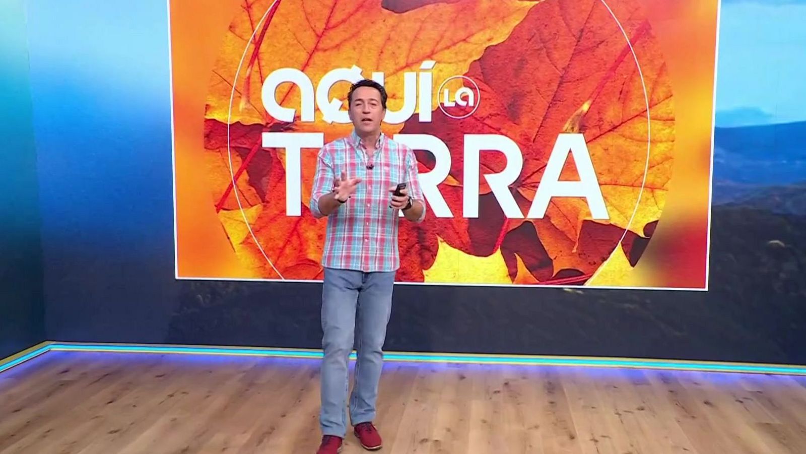 Bombons, cava i malbaratament alimentari - Aquí la Terra - Aquí la Terra | Veure