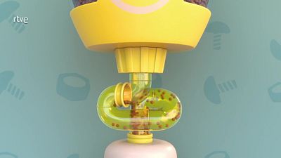 EQUIPO_RUBBLE_CAP__4_El equipo construye un dispensador de comida	251125 ptr