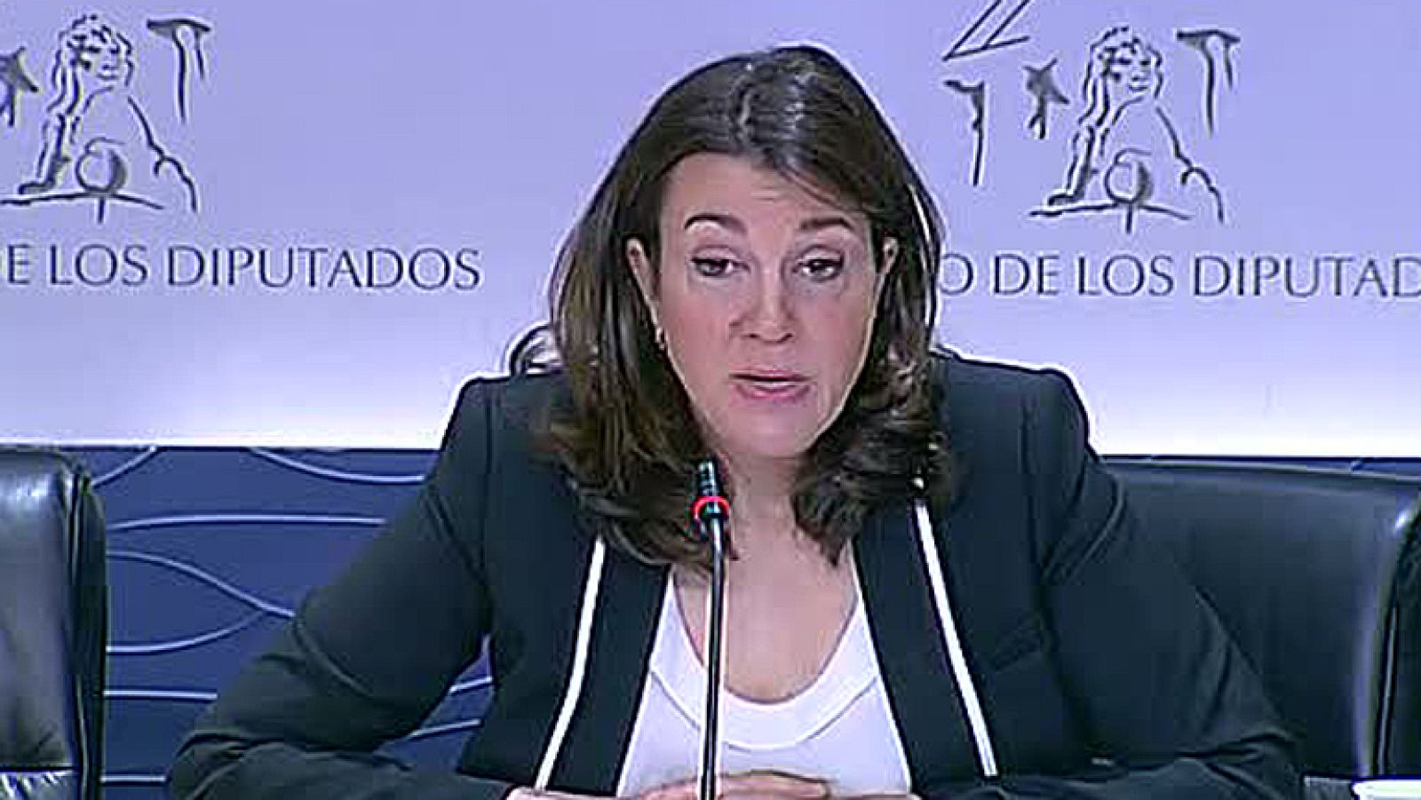 PSOE e IU denuncian "el veto" del PP ante el rechazo a que Rajoy comparezca en el Congreso sobre Bárcenas - Informativo 24h | Ver