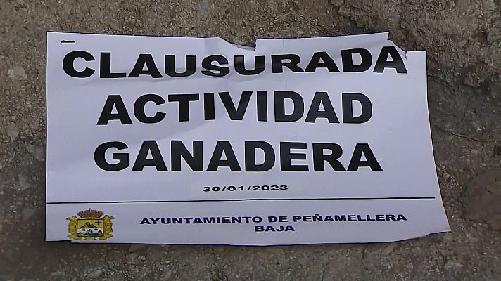 Panorama Regional - Asturias en 2' - 26/11/25