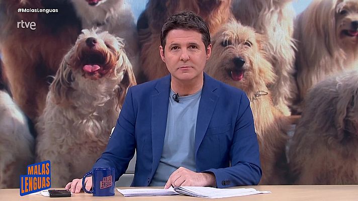 Malas lenguas - En España hay más perros que niños