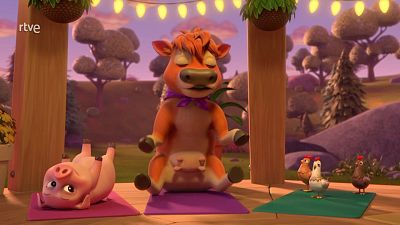 El equipo construye un estudio de yoga para animales
