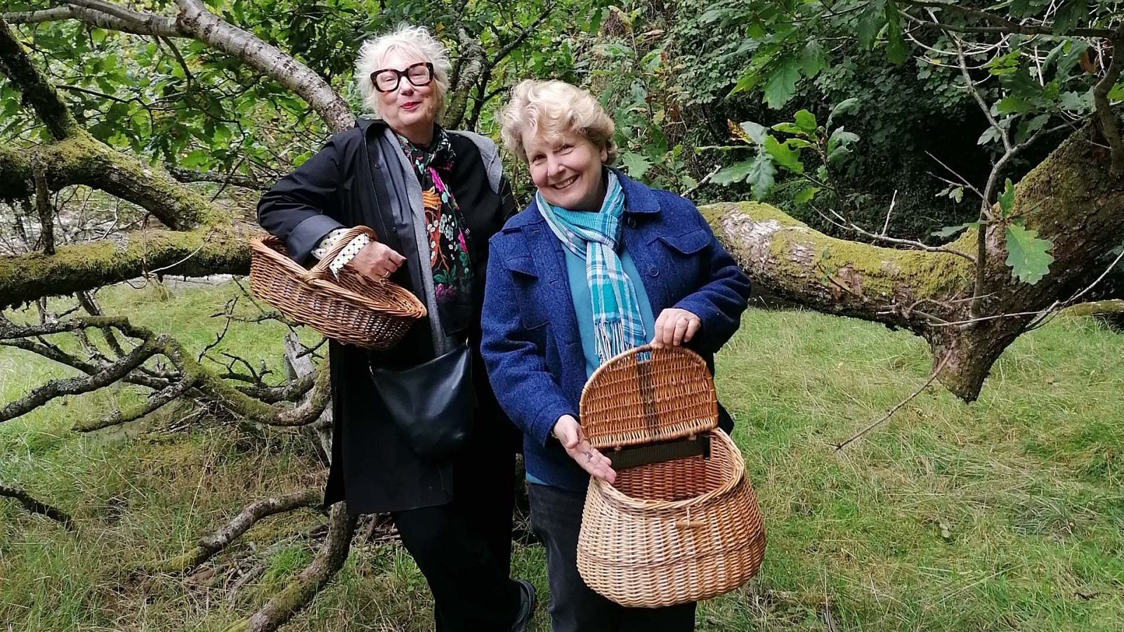 Escapadas extraordinarias - T2 - Episodio 6: Gales con Jenny Eclair - Escapadas extraordinarias | Ver