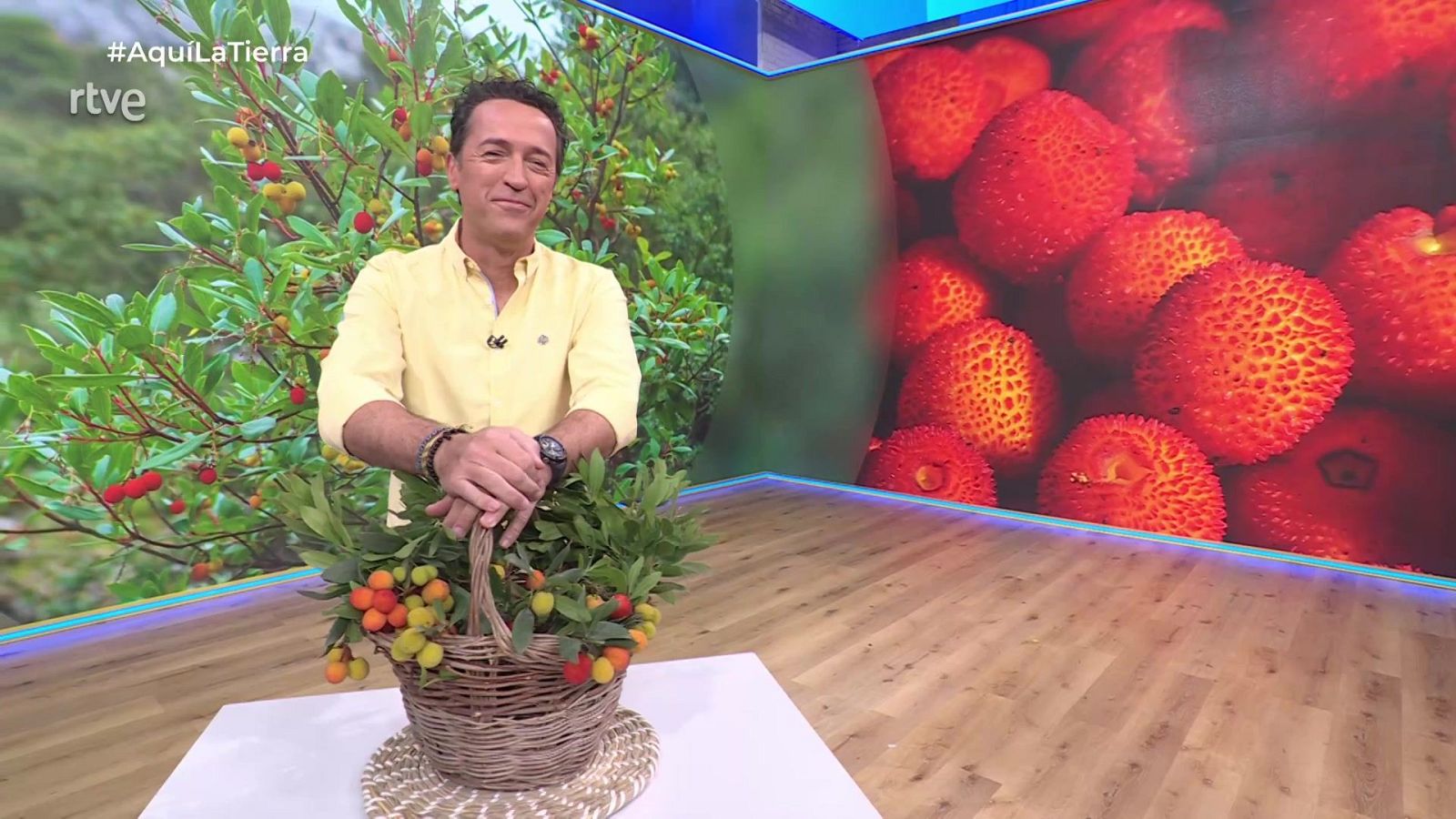 Aquí la Tierra - 26/11/25 - Aquí la Tierra | Ver