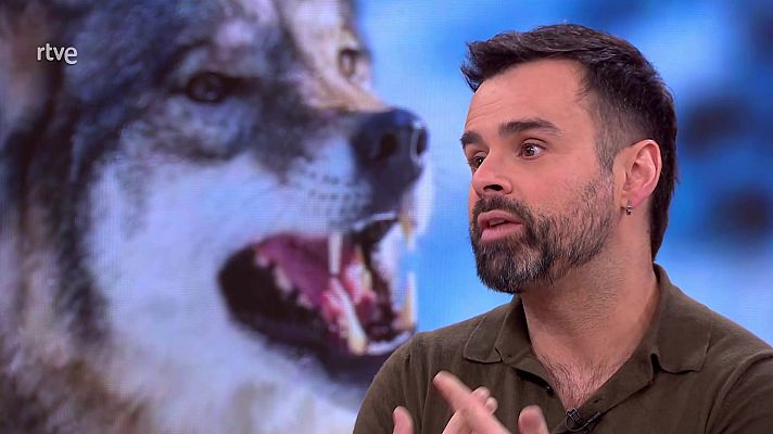 La aventura del Saber - La aventura del saber - 27/11/25