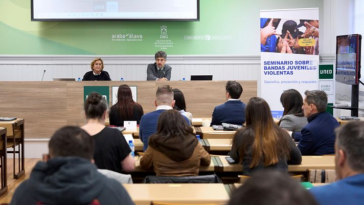 Telenorte - País Vasco - Expertos analizan el fenómeno de las bandas juveniles violentas en Vitoria