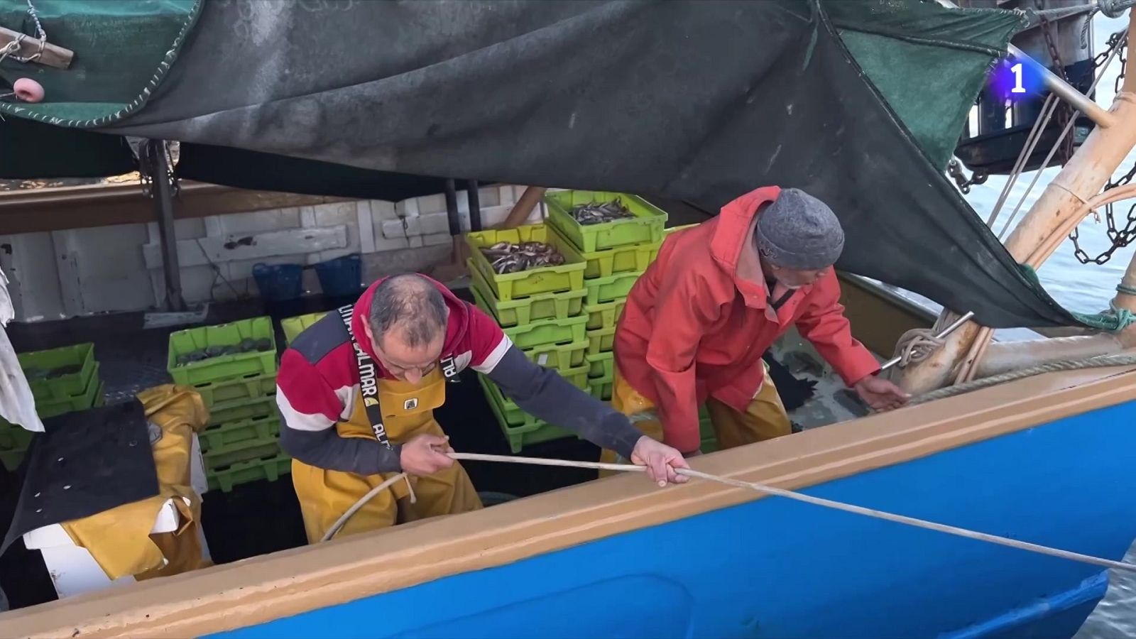 El Govern rebutja les noves quotes de pesca d'arrossegament - L'Informatiu | Veure