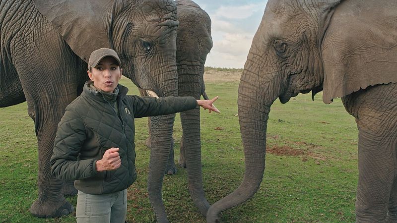 'Dra. Fabiola Jones', gran estreno esta noche - Dra. Fabiola Jones | Ver tráiler