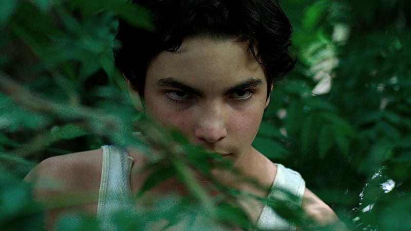 Das de Cine: Zafari | Ver