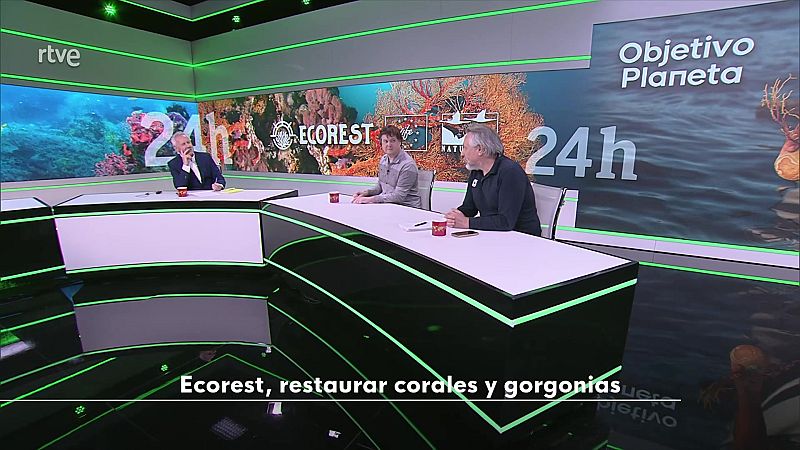 Objetivo Planeta - Ecorest, restaurar corales y gorgonias - Objetivo Planeta | Ver