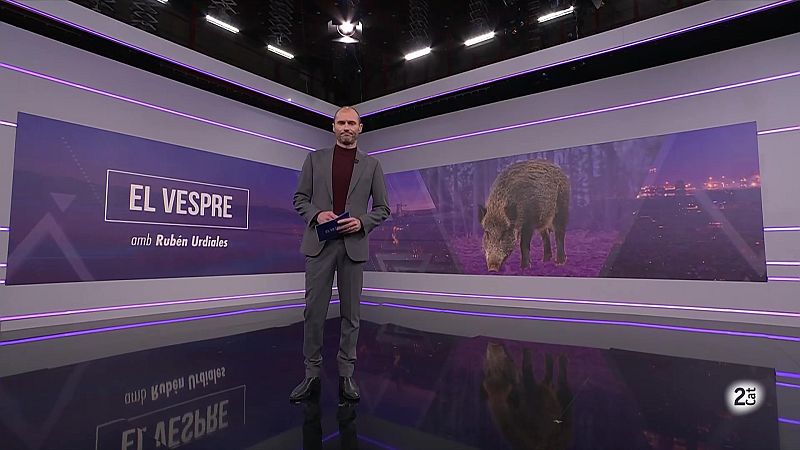 El Vespre - 28/11/2025 - El Vespre | Veure