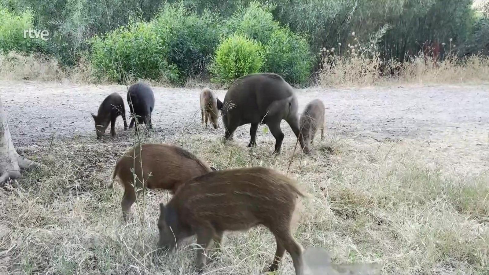 Informativo 24 horas - 14h - 29/11/25 - Fin de semana 24h | Ver