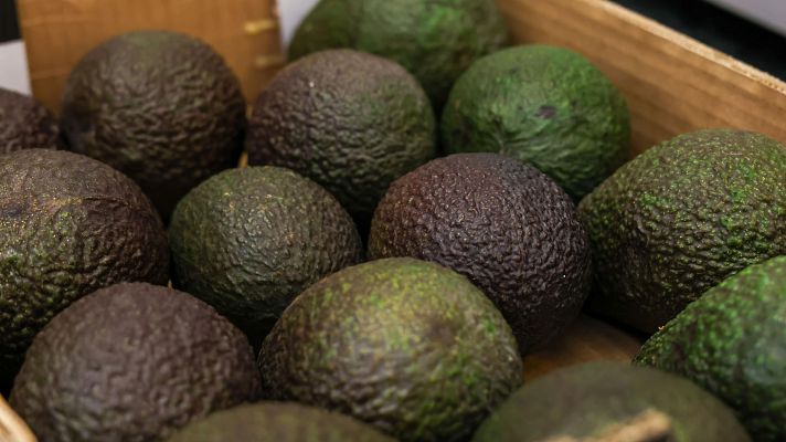 Telediario Fin de Semana - La ruta ilegal del aguacate, de la Península a Canarias