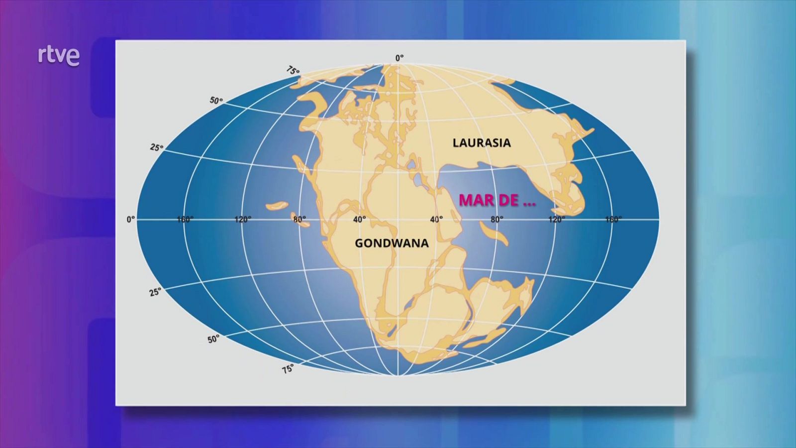 Saber y ganar. Edición de fin de semana - 30/11/25 | Ver
