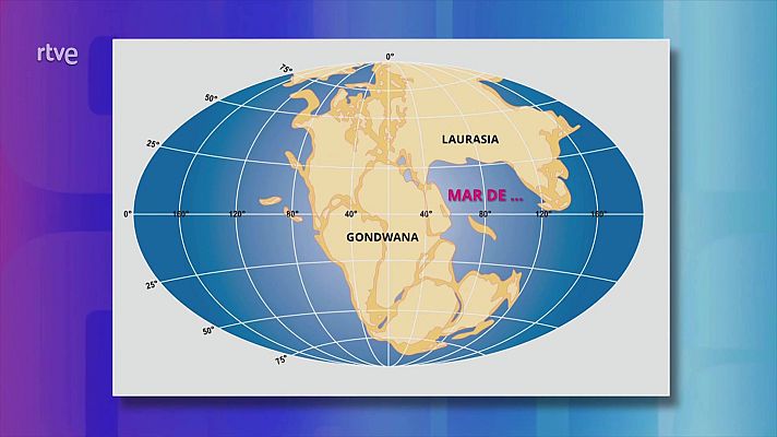 Saber y ganar - Saber y ganar. Edición de fin de semana - 30/11/25