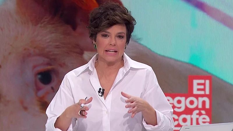 Sida, emissions i pesta porcina - El segon caf - El segon caf | Veure