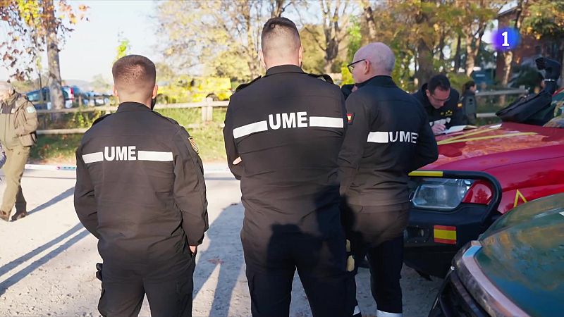 Màxima coordinació per frenar el brot de pesta porcina