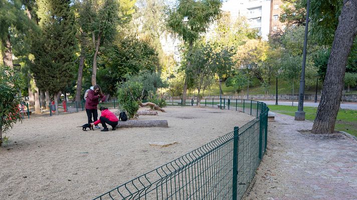 Telediario 1 - Abiertas todas las líneas de investigación por las dos adolescentes fallecidas en Jaén