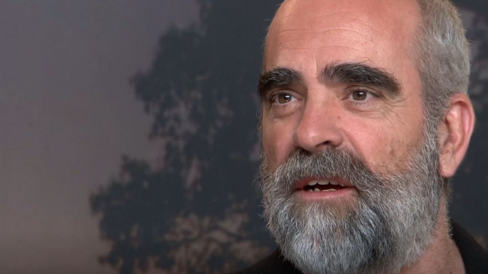 'Golpes': llega la nueva película de Luis Tosar | Ver