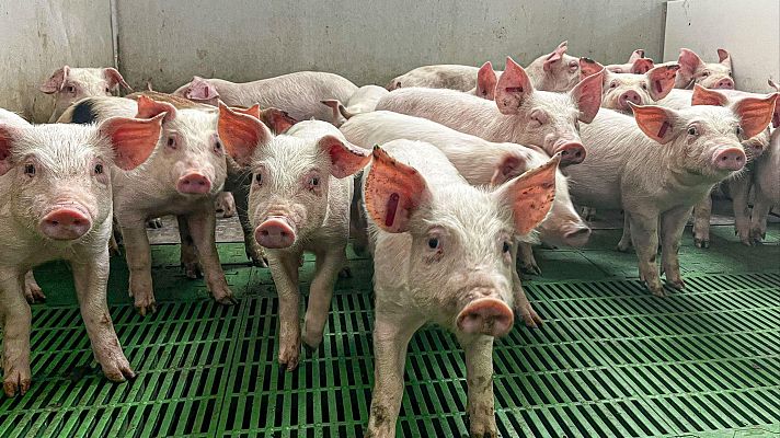 Telediario - 21 horas - 01/12/25