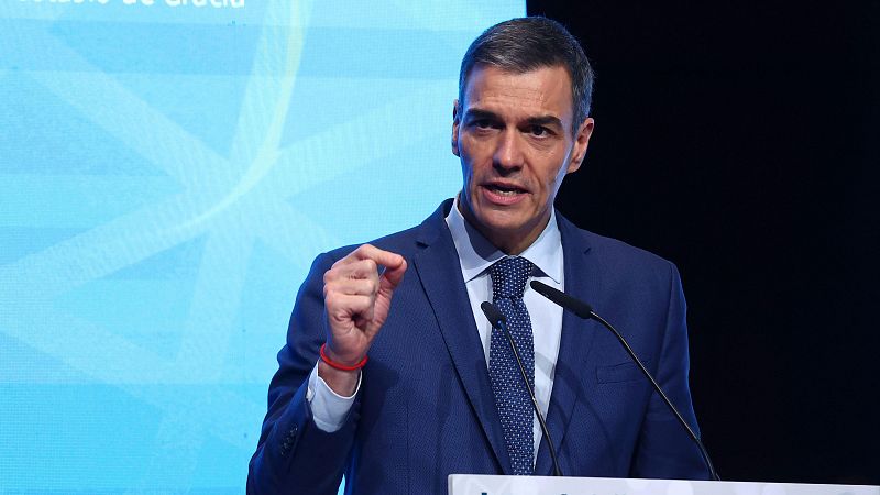 Sánchez pide "prudencia" y "tranquilidad" para contener la peste porcina en Cataluña: "Estamos trabajando con la Generalitat y con el sector" - Cafè d'idees | Ver