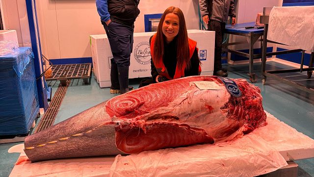 Así se prepara Mercamadrid para la campaña navideña