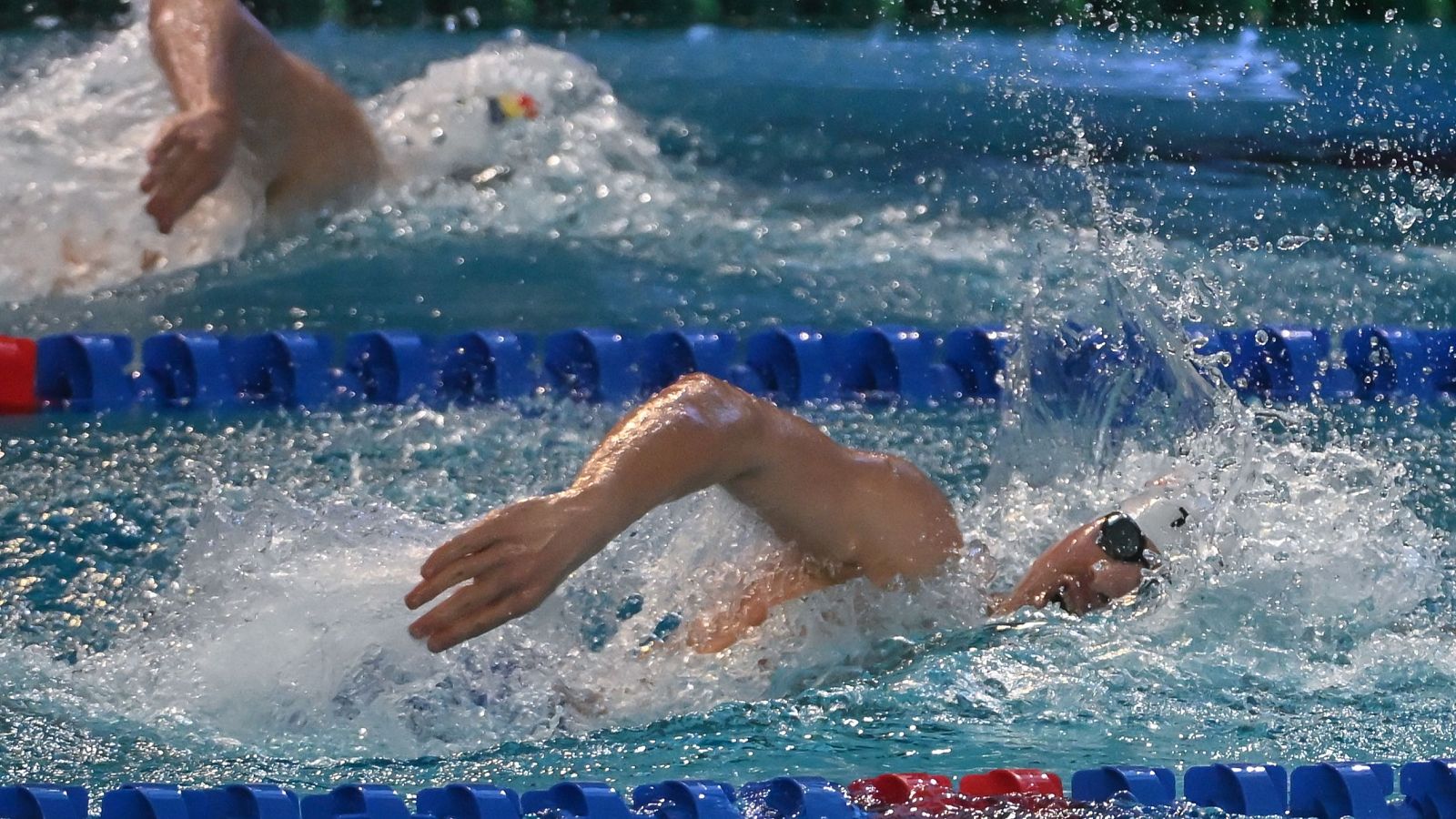 Natación - Campeonato de Europa de piscina corta. Sesión vespertina. Semifinales y Finales - Natación | Ver