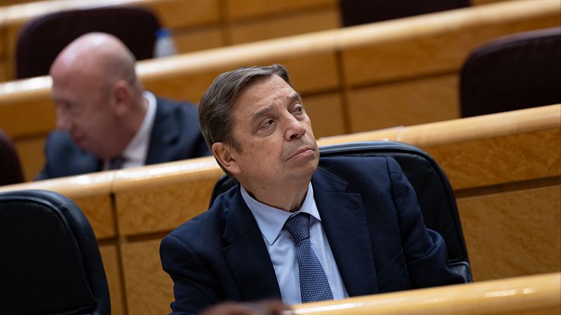 Planas está en contacto con varios países para minimizar el impacto de la peste porcina en las exportaciones