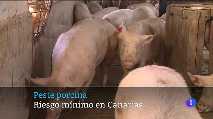 Telecanarias - Telecanarias - 03/11/2025