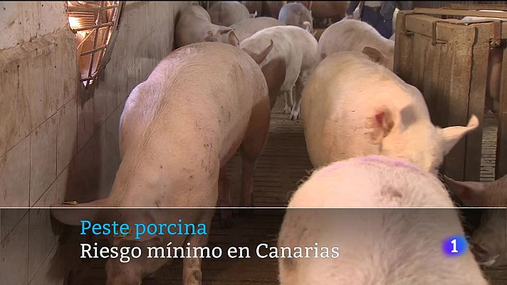 Telecanarias - Canarias en 2´- 03/12/2025
