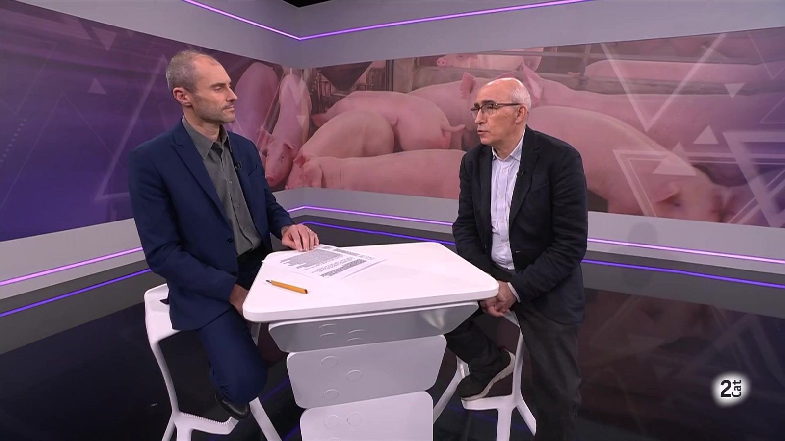 Com es fixen els preus dels aliments i per què són tan volàtils? - El Vespre | Veure