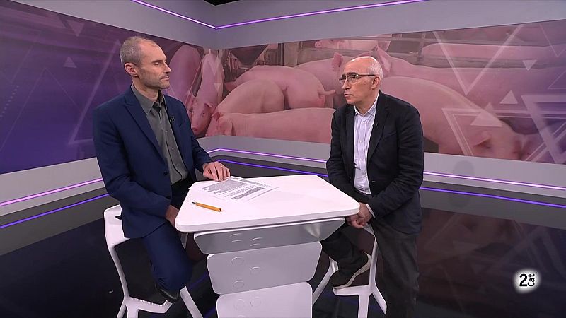 Com es fixen els preus dels aliments i per què són tan volàtils? - El Vespre | Veure