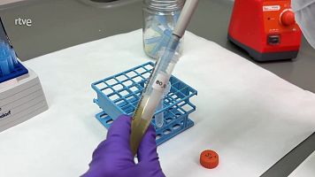 Yo investigo, yo soy CSIC: Francesca de ngelis