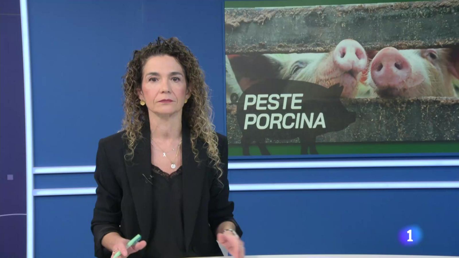 Informativo Telerioja - 04-12-2025 - Informativo Telerioja | Ver