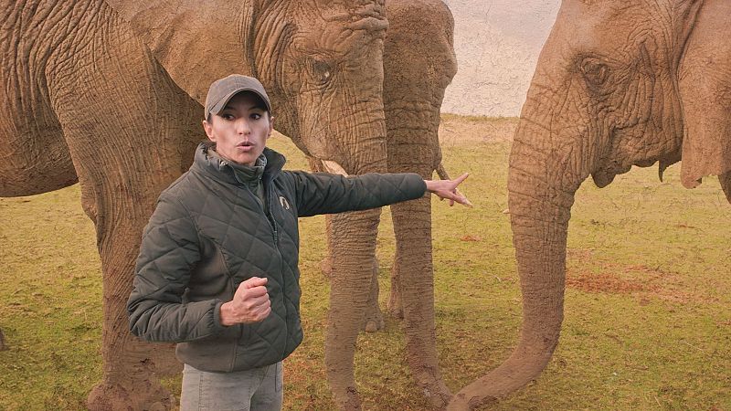 Dra. Fabiola Jones - Episodio 1 - Soy un superviviente