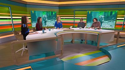 Caça de senglars, tió de Nadal i 'La Cheloteca'