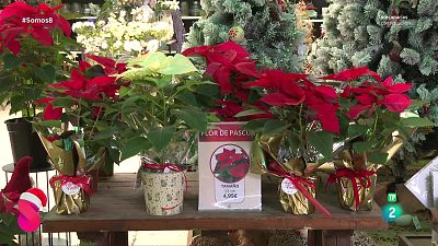 Somos 8 - 04/12/2025