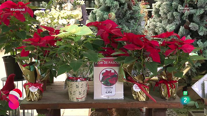 Somos 8 - Somos 8 - 04/12/2025