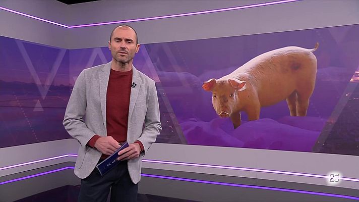 El Vespre - El Vespre - 04/12/2025