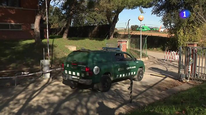 L'Informatiu - La Generalitat endureix restriccions pel brot de pesta porcina africana