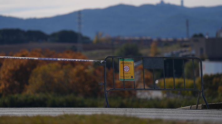 La tarde en 24h - Agricultura no descarta que el brote de peste porcina haya salido de instalaciones experimentales