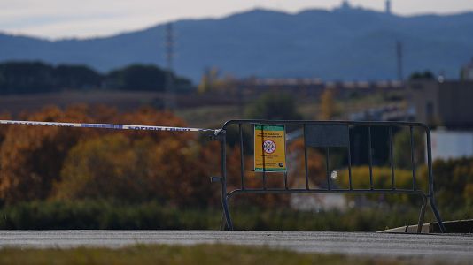 Agricultura investiga si el brote de peste porcina se origin en un laboratorio